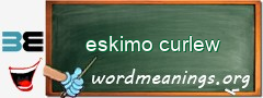 WordMeaning blackboard for eskimo curlew